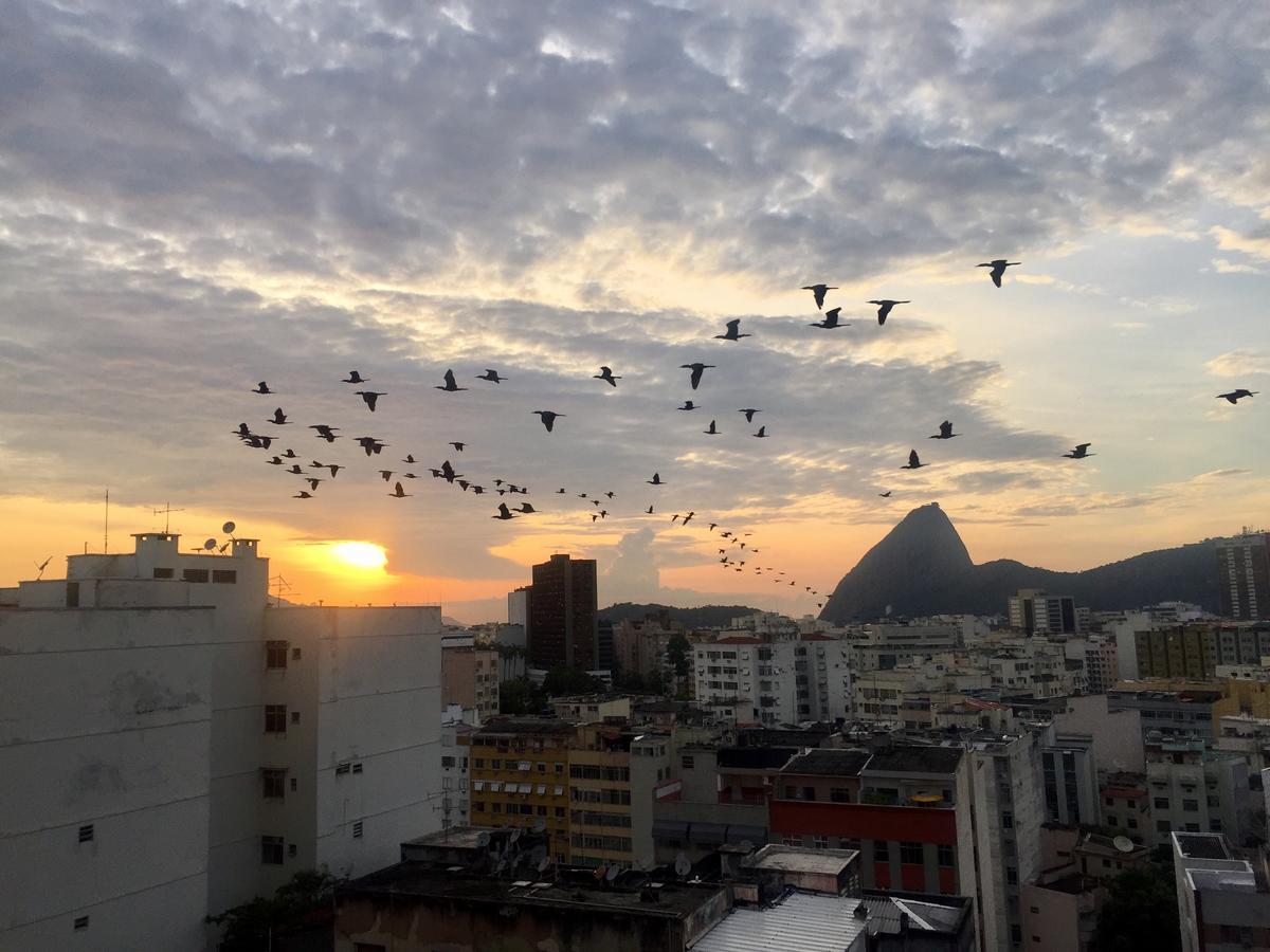 Loft Catete Apartment Rio de Janeiro Ngoại thất bức ảnh
